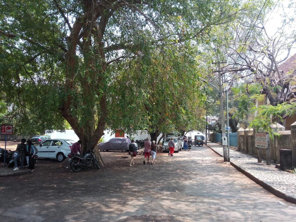 Figure 3: Trees provide shade and reduce the land surface heating by preventing heat absorption in the pavements (Source: WRI India) Trees provide shade and reduce the land surface heating by preventing heat absorption in the pavements (Source: WRI India)