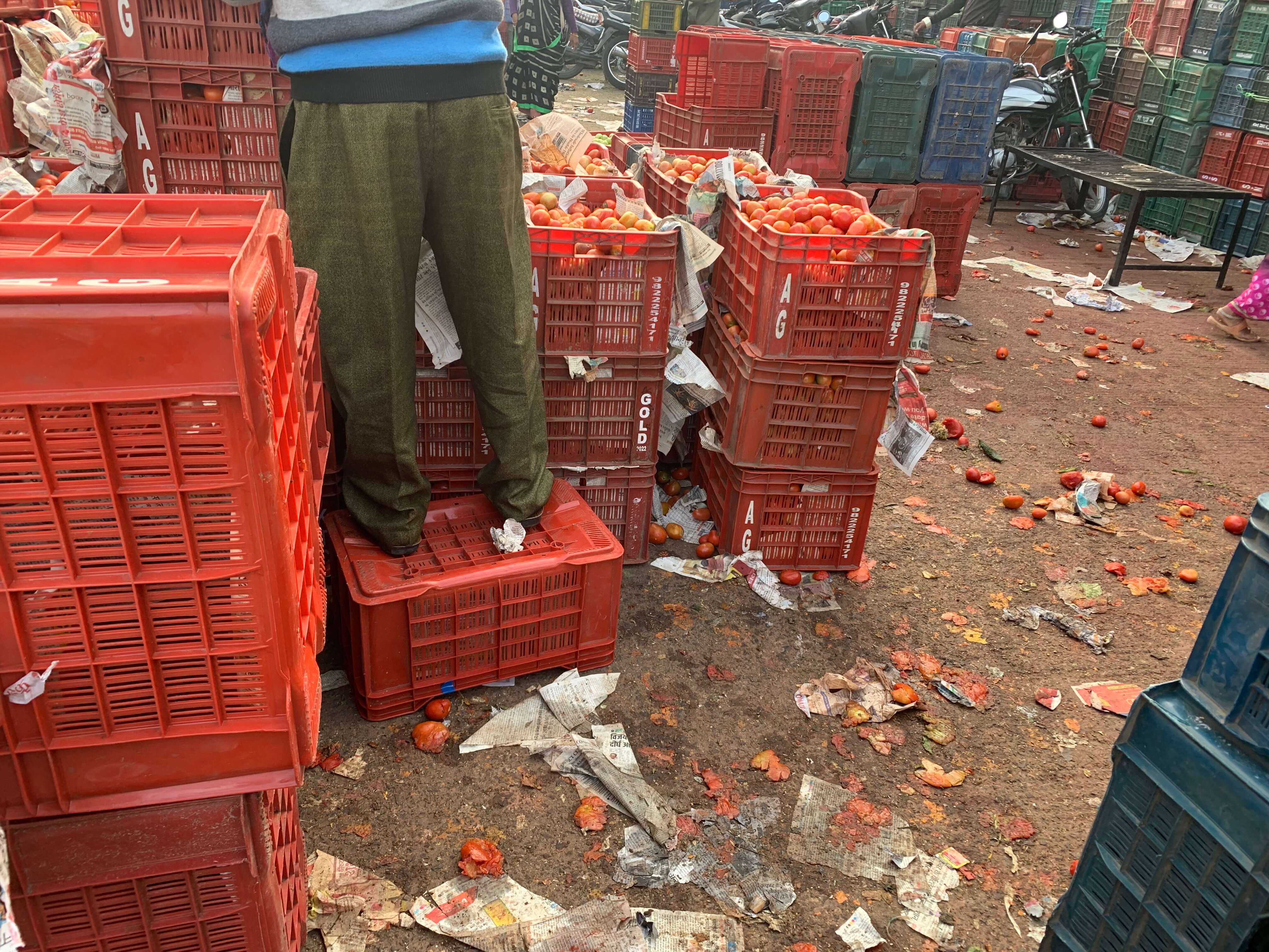 Tomato loss in mandi during sales. Photo by Shweta Lamba/WRI India Tomato loss in mandi during sales.