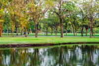 cities4forests