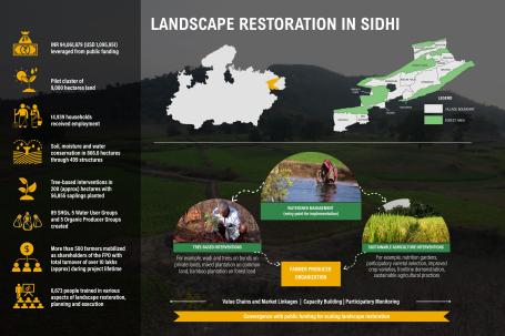 Landcape Restoration in Sidhi