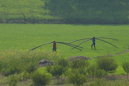 A man and a woman walking in a field.