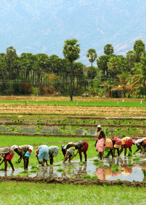 The blogs are part of WRI India’s mission to provide unbiased, expert analysis on the most important environmental issues facing the world today.